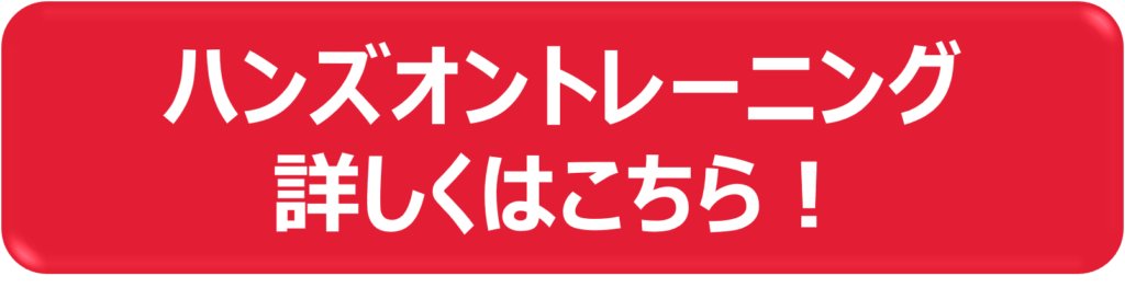 ハンズオントレーニング詳しくはこちら_ボタン